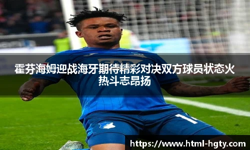 霍芬海姆迎战海牙期待精彩对决双方球员状态火热斗志昂扬